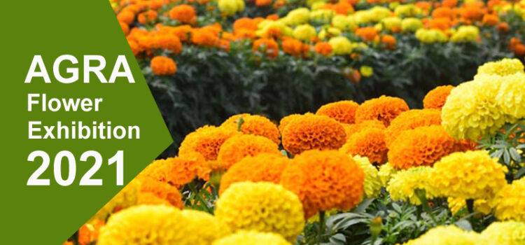 Agra Flower Exhibition 2021